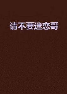 請不要迷戀哥[網路小說]