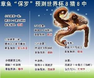 章魚“保羅”新聞圖片