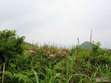 東白山風景區