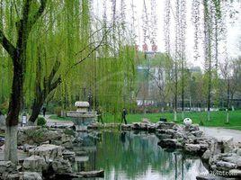 白雲湖公園[山東省濟南市白雲湖公園]