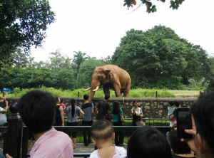 廣州動物園