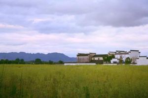 碧山村[安徽省黃山市黟縣碧陽鎮碧山村]