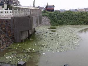 居住環境的污染