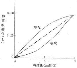 順應性