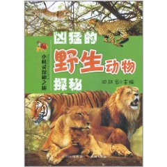 兇猛的野生動物探秘