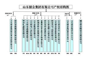 山東招金集團公司