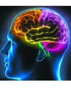 EFG腦神經平衡再生療法