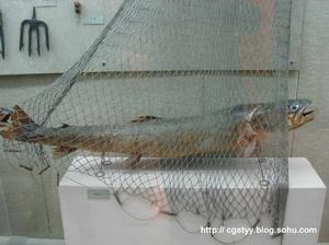 （圖）鄂倫春人打漁的漁網和烏蘇里江的鰉魚