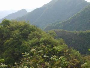 滄浪山國家森林公園