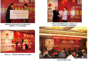 中國公益事業促進會