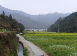 曉村村