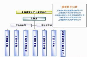 上海浦東生產力促進中心組織結構