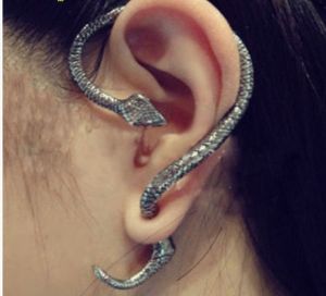 耳環蛇