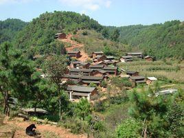 大黑山村[雲南省楚雄州武定縣插甸鄉大黑山村]