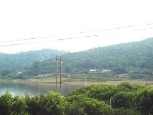 雲海村