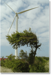 福建風力發電有限公司