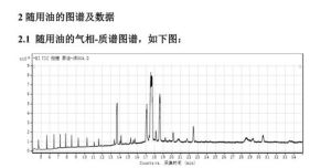 檢測報告2