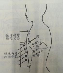 常派[豫劇流派]