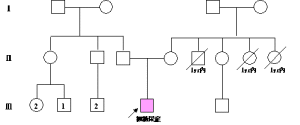 基因圖譜