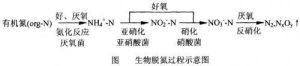 生物脫氮