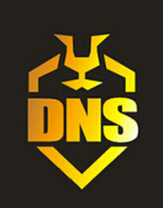 DNS盾