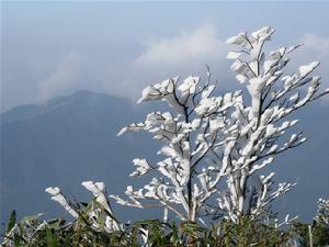 廣東南嶺國家級自然保護區