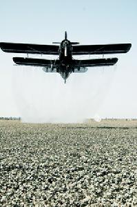 （圖）飛機噴灑農藥
