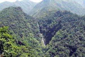 十萬大山國家森林公園