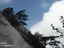 龜峰山[湖北省麻城市龜峰]