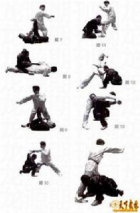 少林狗拳