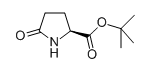 焦谷氨酸叔丁酯