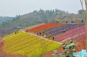 兩岸花博園