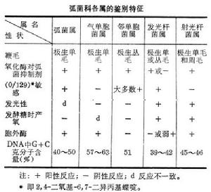 弧菌科