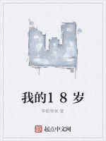 我的18歲[網路小說]