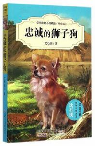 忠誠的獅子狗