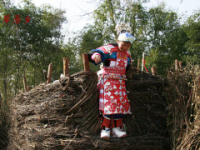 草原鄉苗族婦女坐花月