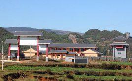 紅田村[廣東惠州市惠陽區新圩鎮下轄村]