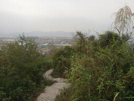 圍頭村[廣東省潮州市鳳塘鎮圍頭村]