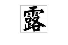 露[漢語漢字]