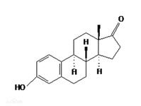 雌酚酮 藥理