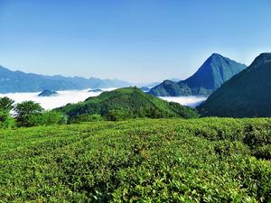 觀雲山