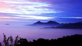 阿里山雲霧