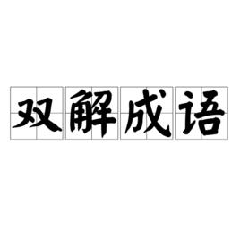 雙解成語