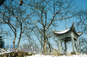 橫山國家森林公園