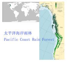 太平洋海岸雨林分布區域