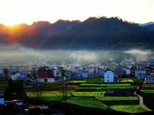 上莊鎮[山東省榮成市上莊鎮]