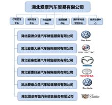 愛康集團組織架構