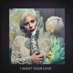 I Want Your Love[Lady GaGa演唱歌曲]