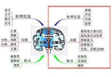 右腦識字閃卡