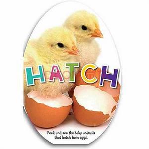 hatch